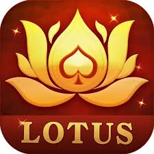 teen patti velth download